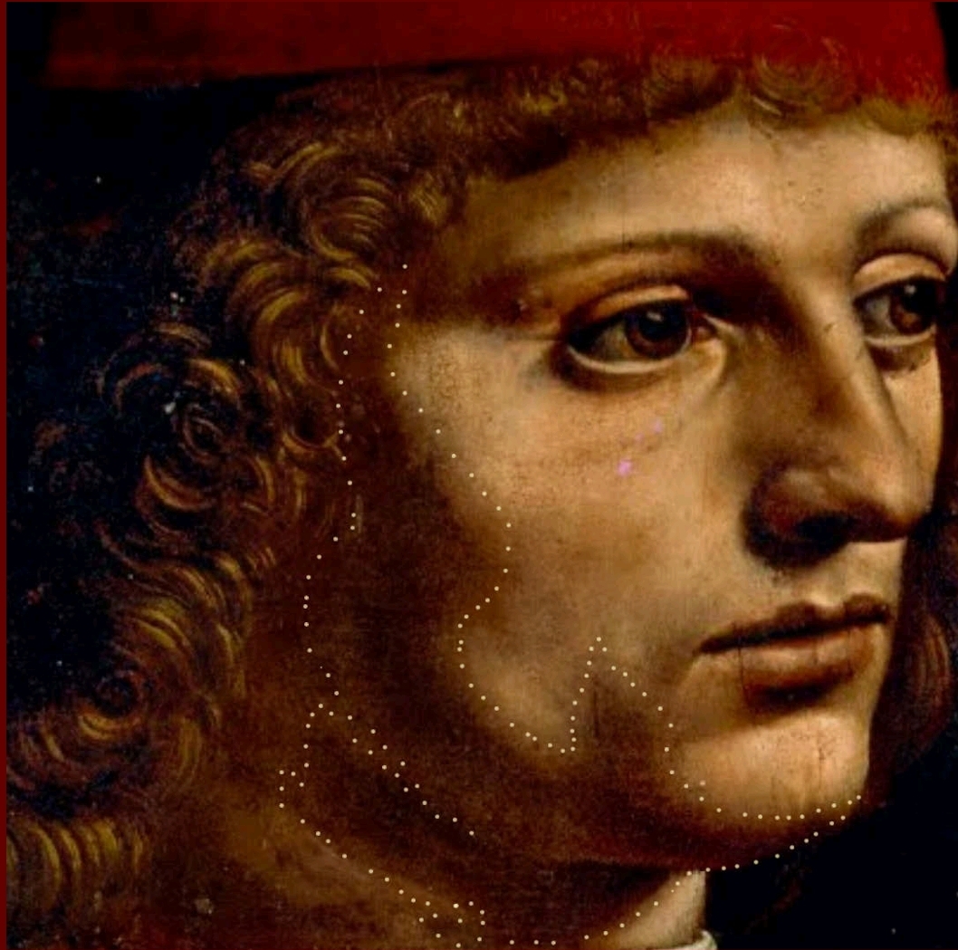 Traccia subliminale del Nibbio costruita come ombra, si possono notare, la testa, l'ala e il timoniere